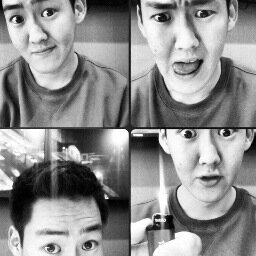 TemaSleptsov's profile picture. в дельфинах правда