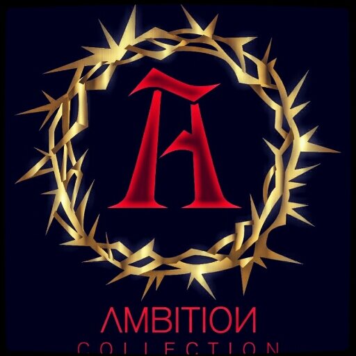 Ambition_Usa's profile picture. Follow me on Instagram @ambitioncollection_usa