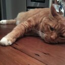 Karen Lark - @iluvmakeup12345 - Twitter