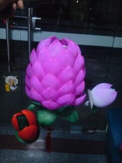 kong648112857's profile picture. 