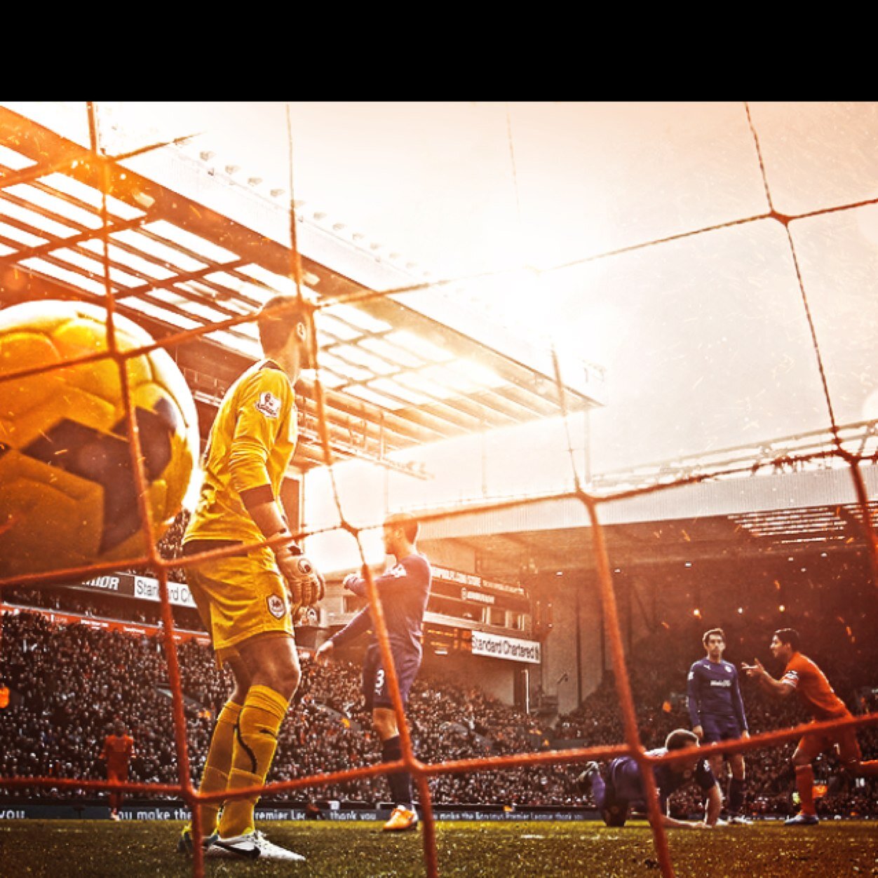 New goals, Nice goals, Soccer