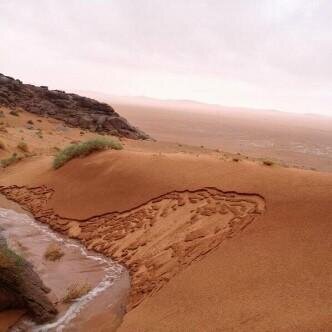 broos_zr1's profile picture. لا تمل من التوبة : حتى وان تكرر    الذنب اليس كلما اتسخ ثوبك غسلته كذلك    كلما اذنبت - استغفر ربك - صالح المغامسي