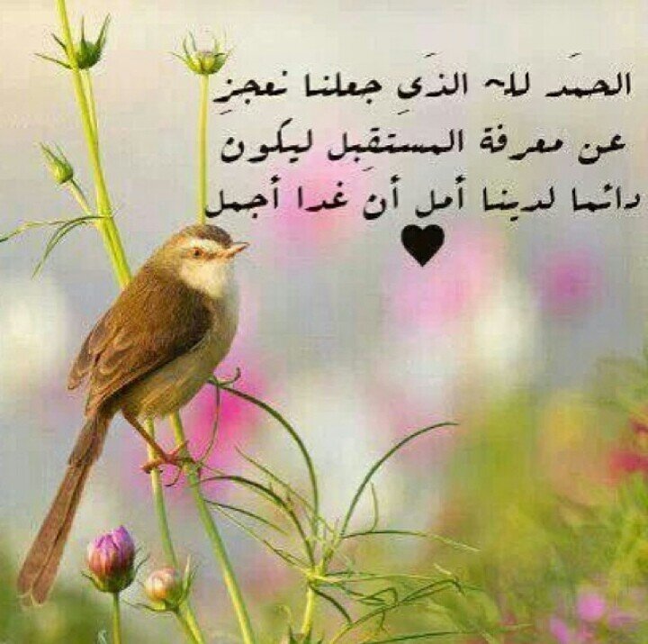 ‏محاضر في قسم الرياضيات - جامعة الأمير سطام بن عبدالعزيز