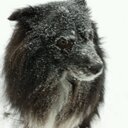 Ryan Koski - @koski0 - Twitter