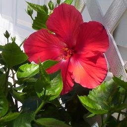 Love gardening, live music- especially blues & classic rock, and hanging with friends. :)