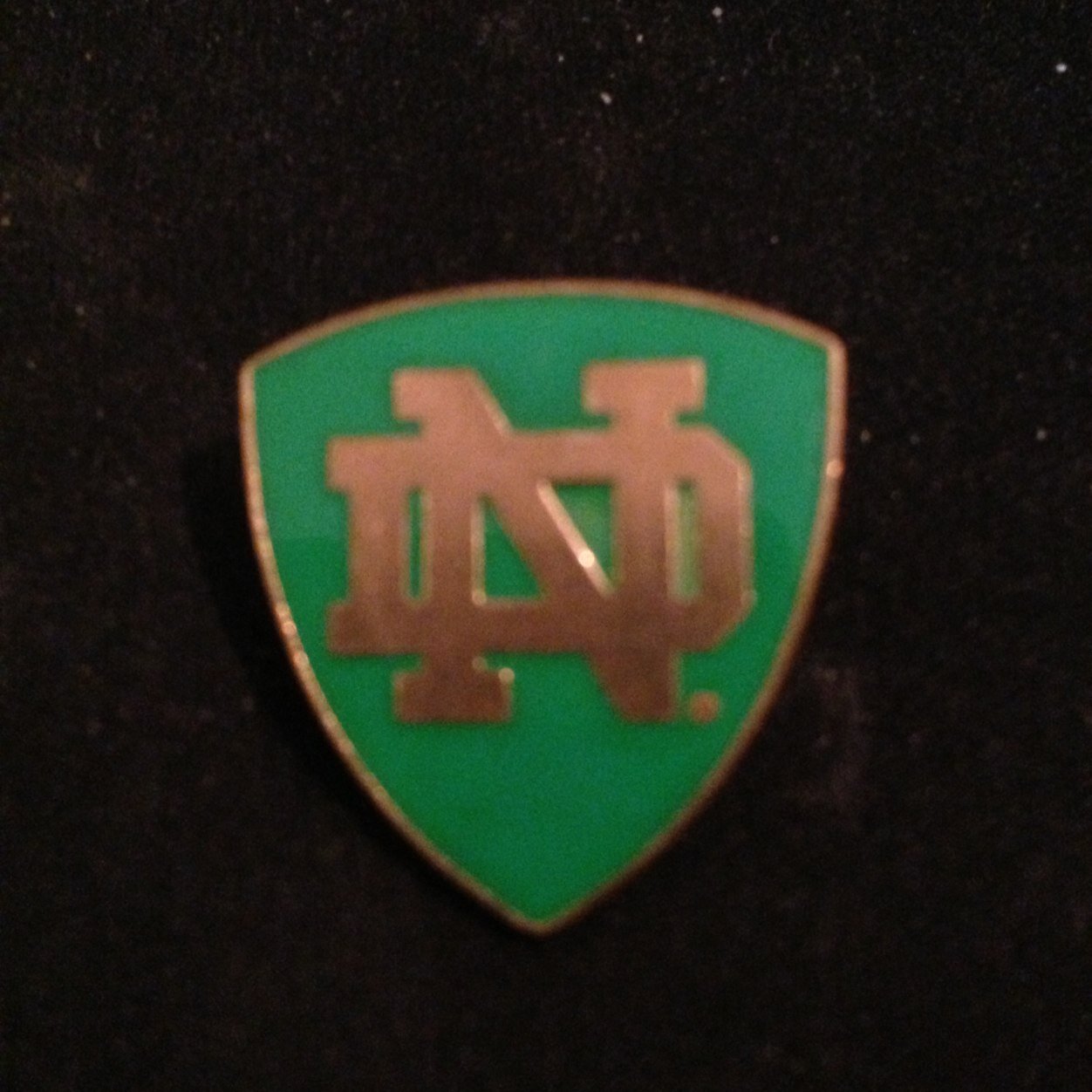 The Notre Dame Club of Northern Alabama is an award-winning Notre Dame Alumni Club promoting spiritual, social, academic, and charitable functions in Alabama.