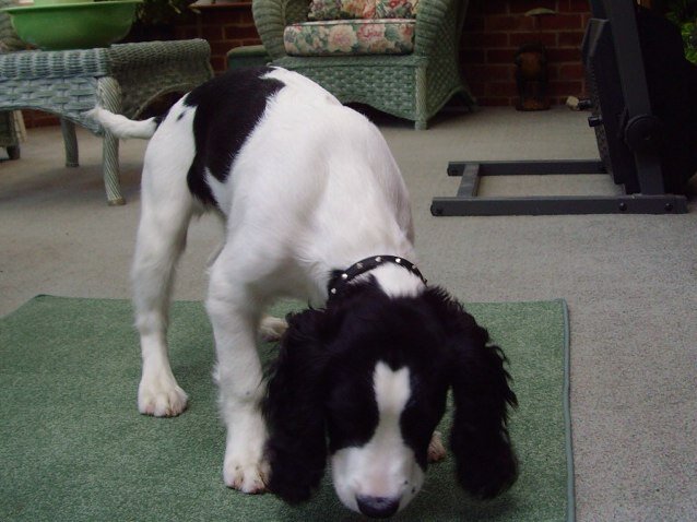 KhbBower's profile picture. 