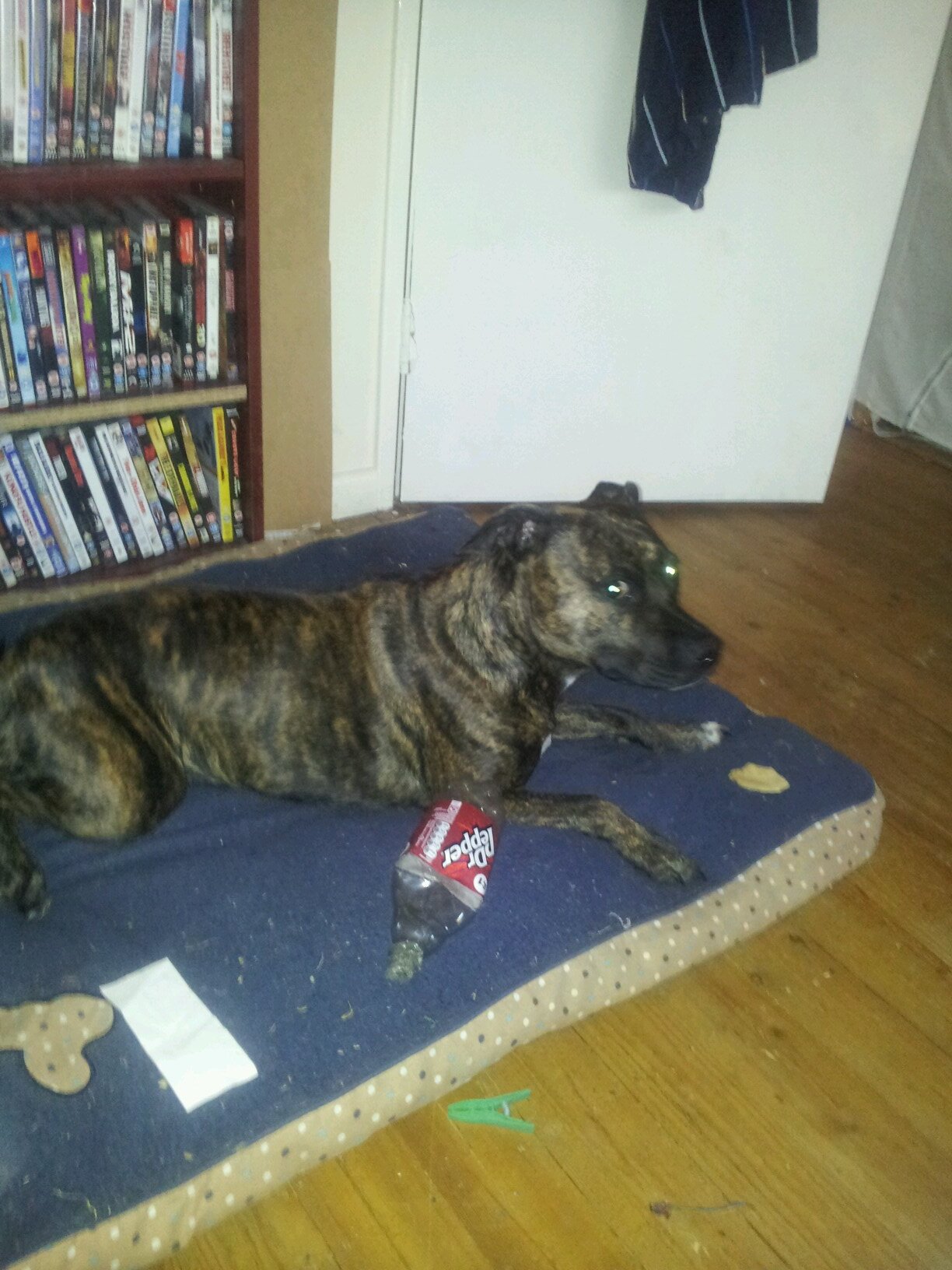 chazer7's profile picture. 