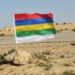 robroos4's profile picture. 