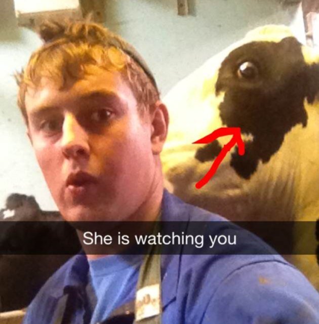 jimbarker10's profile picture. 