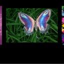 Estella Pratt - @prattestella - Twitter