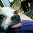 Yvette R. Guy - @yvette_guy - Twitter