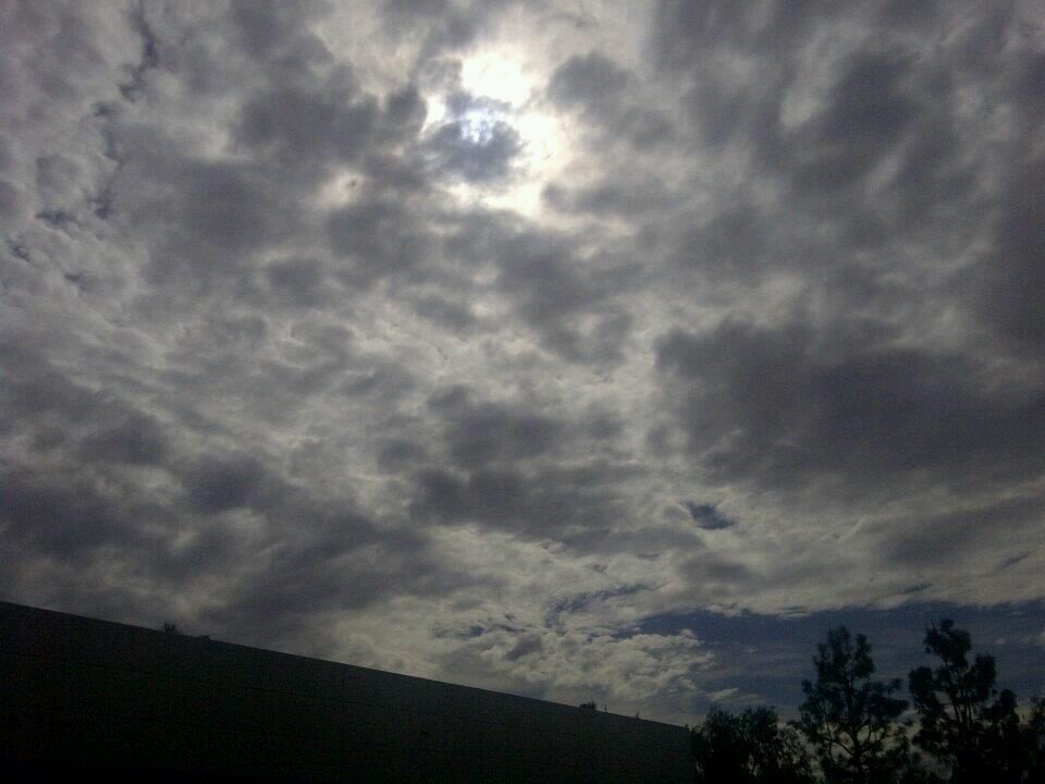 Jaybo9999's profile picture. 