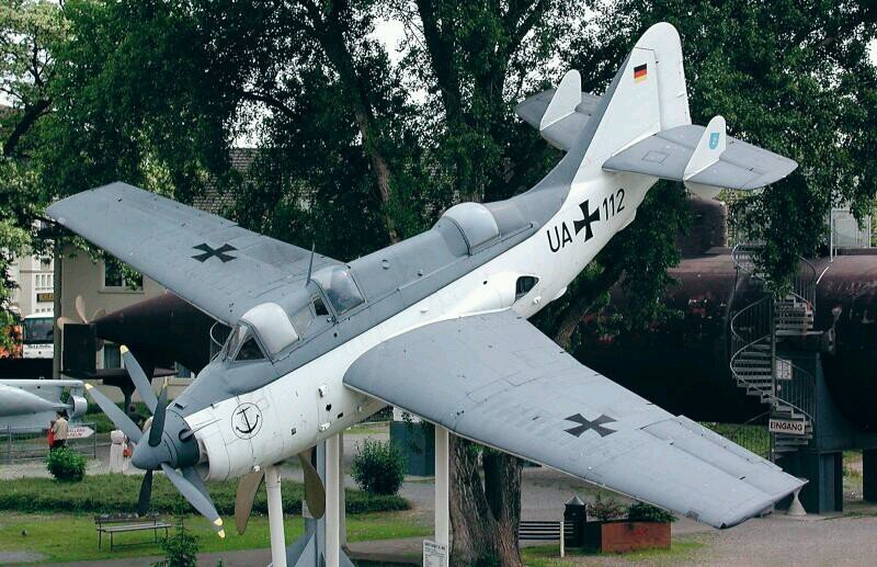 FaireyGannet's profile picture. 