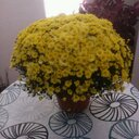 Eusebio Lucas - @elucassan - Twitter