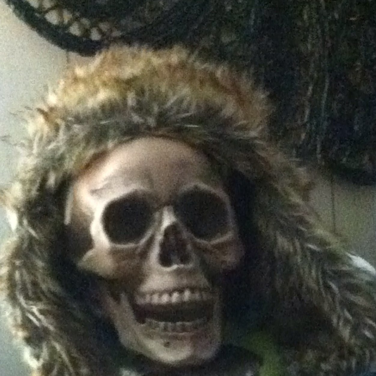 TheBonekeeper Profile Picture