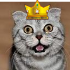 maco2ro's profile picture. I'm security guard on 自宅.