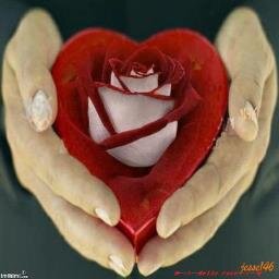 AGNIINS's profile picture. je rêve, 
I dream