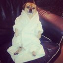 Mark Riding - @riding_riding - Twitter