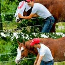 Gavin Pope - @gavinpopefarms - Twitter