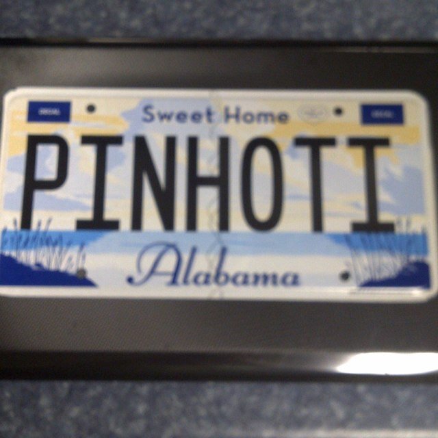 pinhoti100 Profile Picture