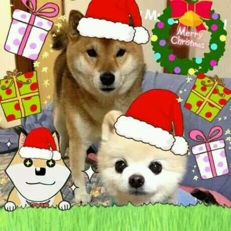 loymui7's profile picture. 