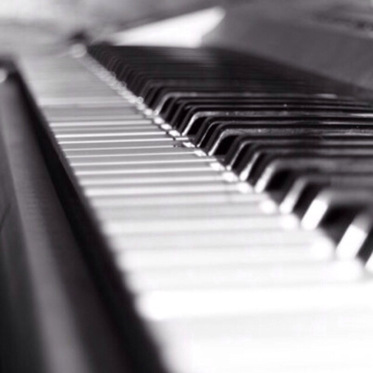 maxrexme123456's profile picture. 