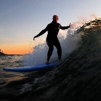 john e mattison (@johnemattison) 's Twitter Profile
