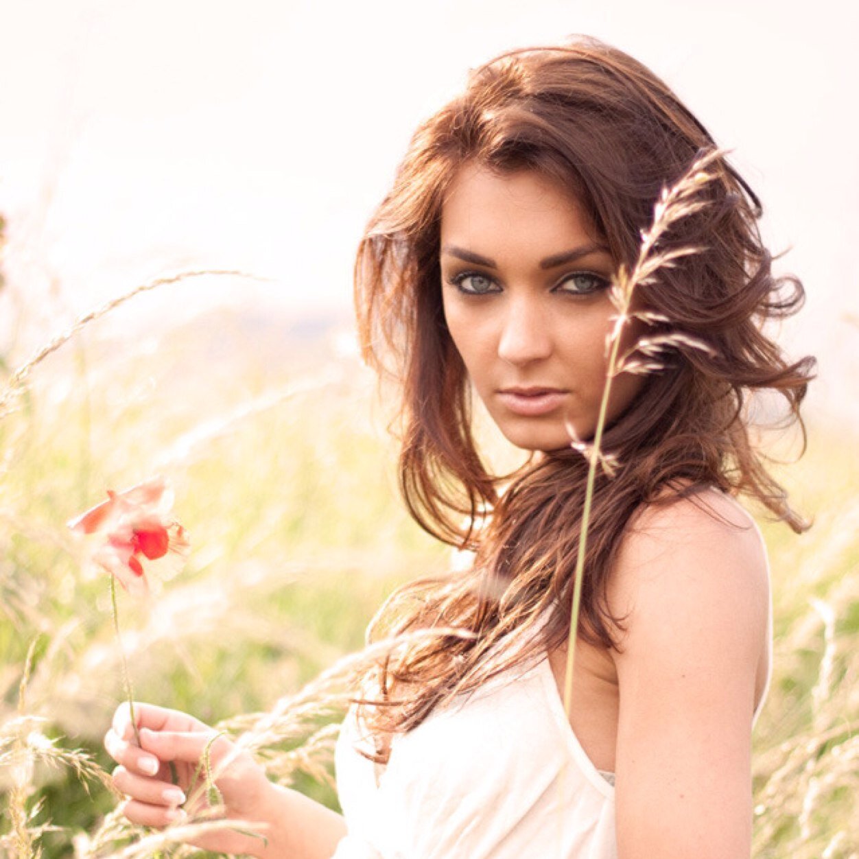 CrushedAsh's profile picture. Haven't talked since my parents were killed by Circle members 8 years ago. Now dedicating my life to killing them all and Sebastian. {TMI RP/Single}