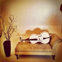 Passenger Quartet (@passengerstring) 's Twitter Profile