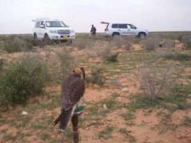 OElsaker's profile picture. 