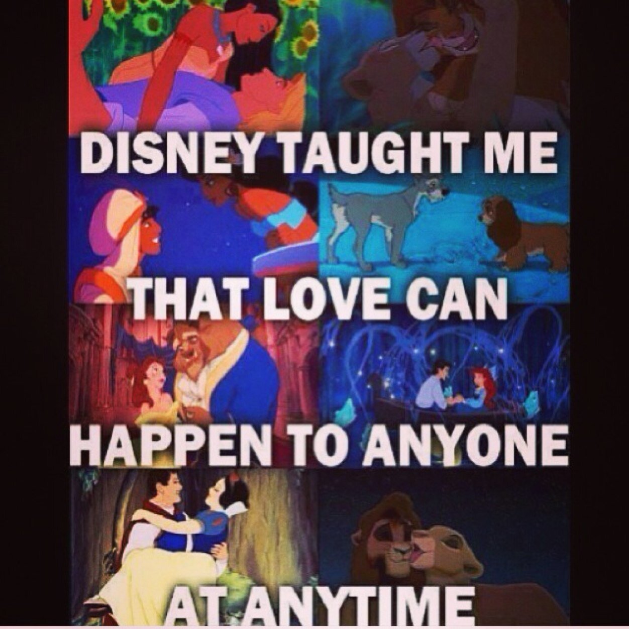 TagsLol's profile picture. 