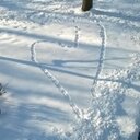 Bill Thomas - @Bill805 - Twitter