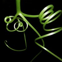 Biodiversity for a Livable Climate (@bio4climate) 's Twitter Profile