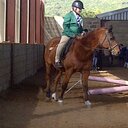 jody ramsay - @jody_ramsay - Twitter