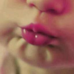 salma_elgamal's profile picture. و إذا قيل لهم لا تفسدوا في الأرض قالوا إنما نحن مصلحون. ألا إنهم هم المفسدون و لكن لا يشعرون