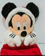Sigam minha marida @9_lins