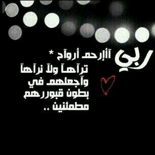 jadi_saleh Profile Picture