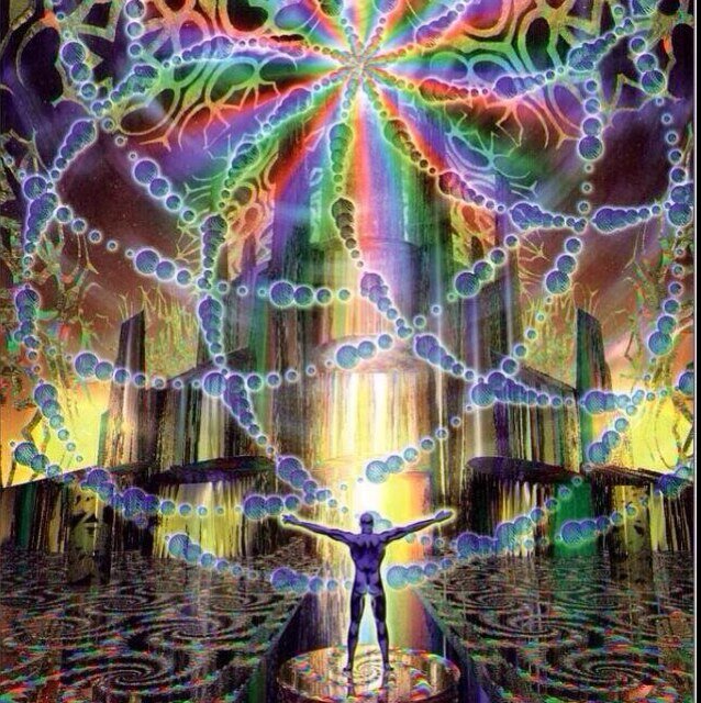 And at the Edge of Sanity and Madness, I Finally Felt Free
