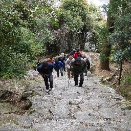 内田樹先生、釈徹宗先生による日本の霊性を賦活再生させる「聖地巡礼」ツアーの公式ツイッター。一緒に参加している「巡礼部」を中心に書き込みをしていきます。