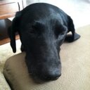 Sean Speer - @ManUpandLead - Twitter