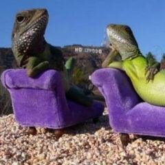 Kadal_Tengil's profile picture. Kadang bijak, kadang gombal, kadang galau, kadang juga mabok. Buruan Follow » @Kadal_Tengil #Recommended !