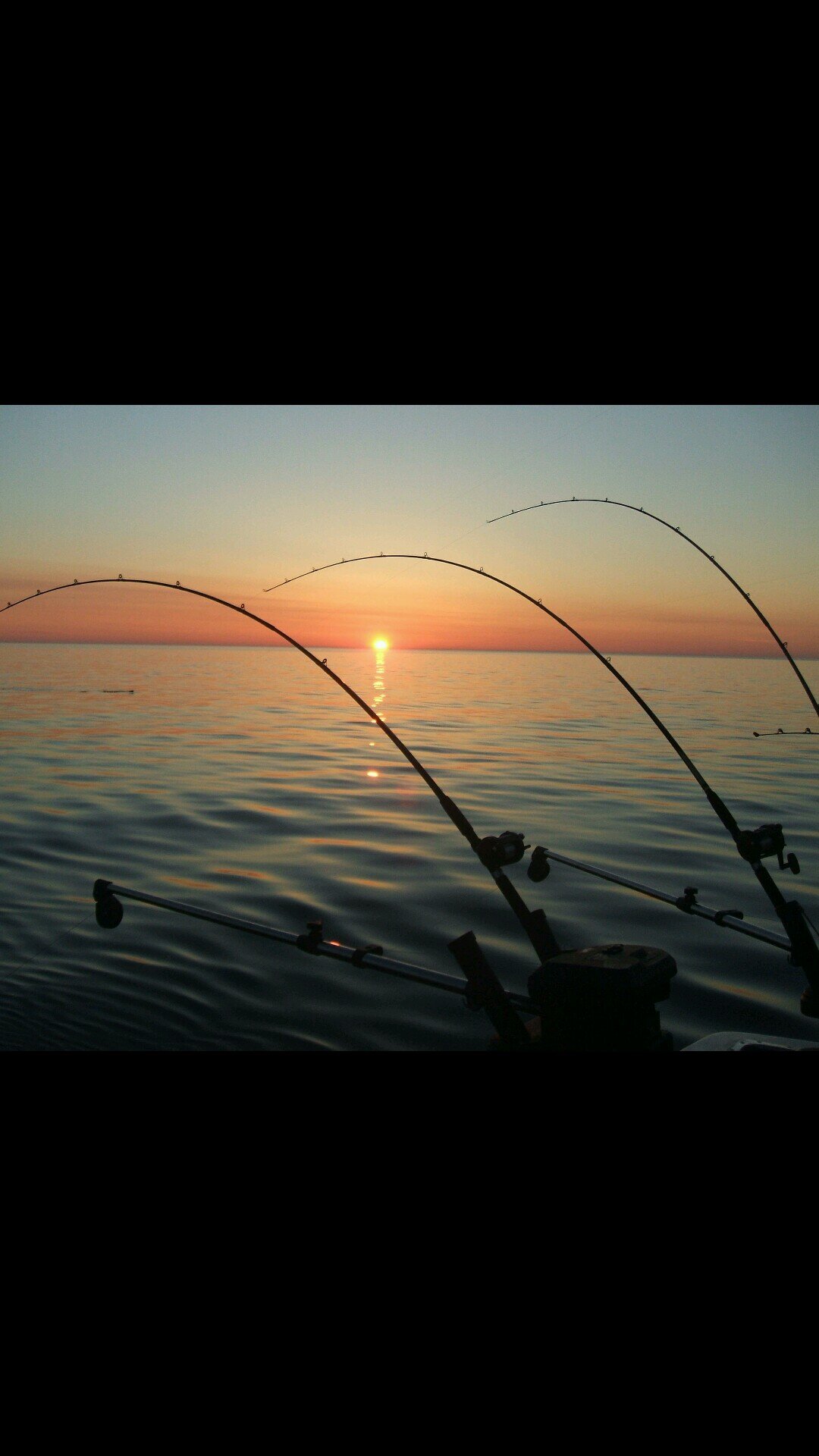 redneckktweets's profile picture. 