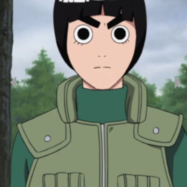 My name is Rock Lee and I am a fan of Bruce Lee. I will be the best in Konoha!