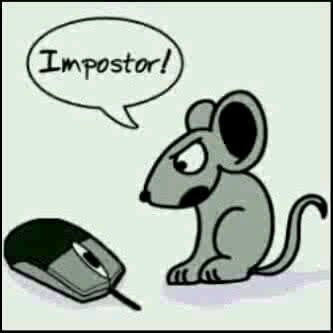Business Analyst