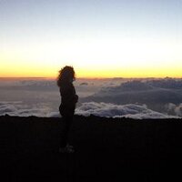 Lori Horkan (@21centuryfrost) 's Twitter Profile