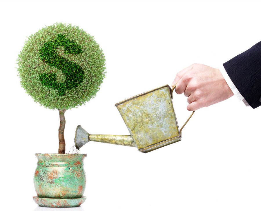 emilia0814's profile picture. 