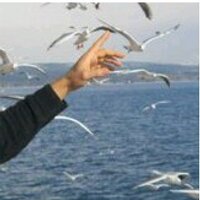 Hakan Parlak (@hakanparlakhp) Twitter profile photo