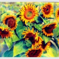 世界中が驚いた色鉛筆を使った芸術の域を超えているアートを発信しています。暇つぶしに見てください。　
驚いたらRTよろしくお願いします。