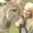 AnneSchipperX's profile image